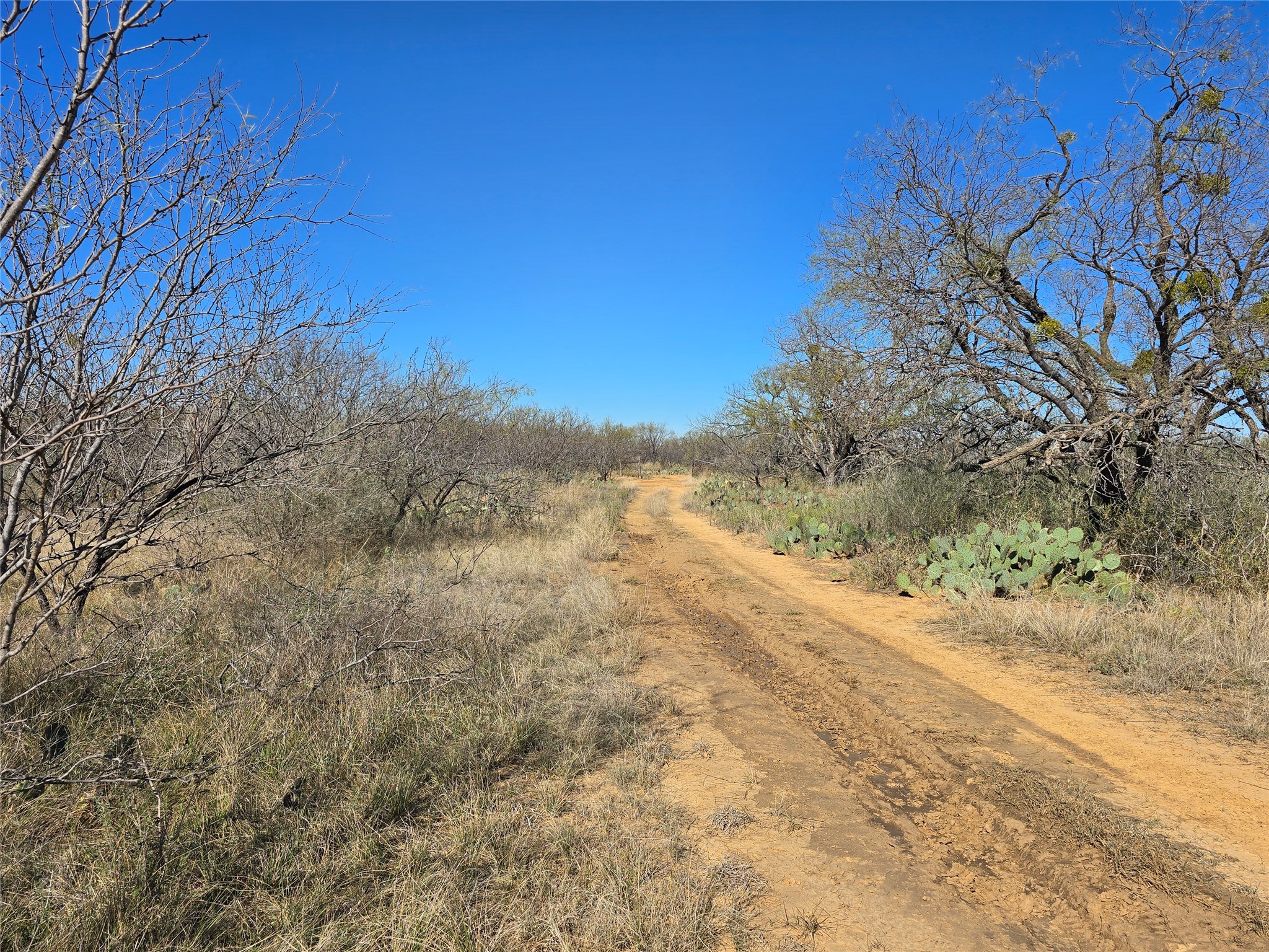 5780 County Road 266 Rochelle TX 76872