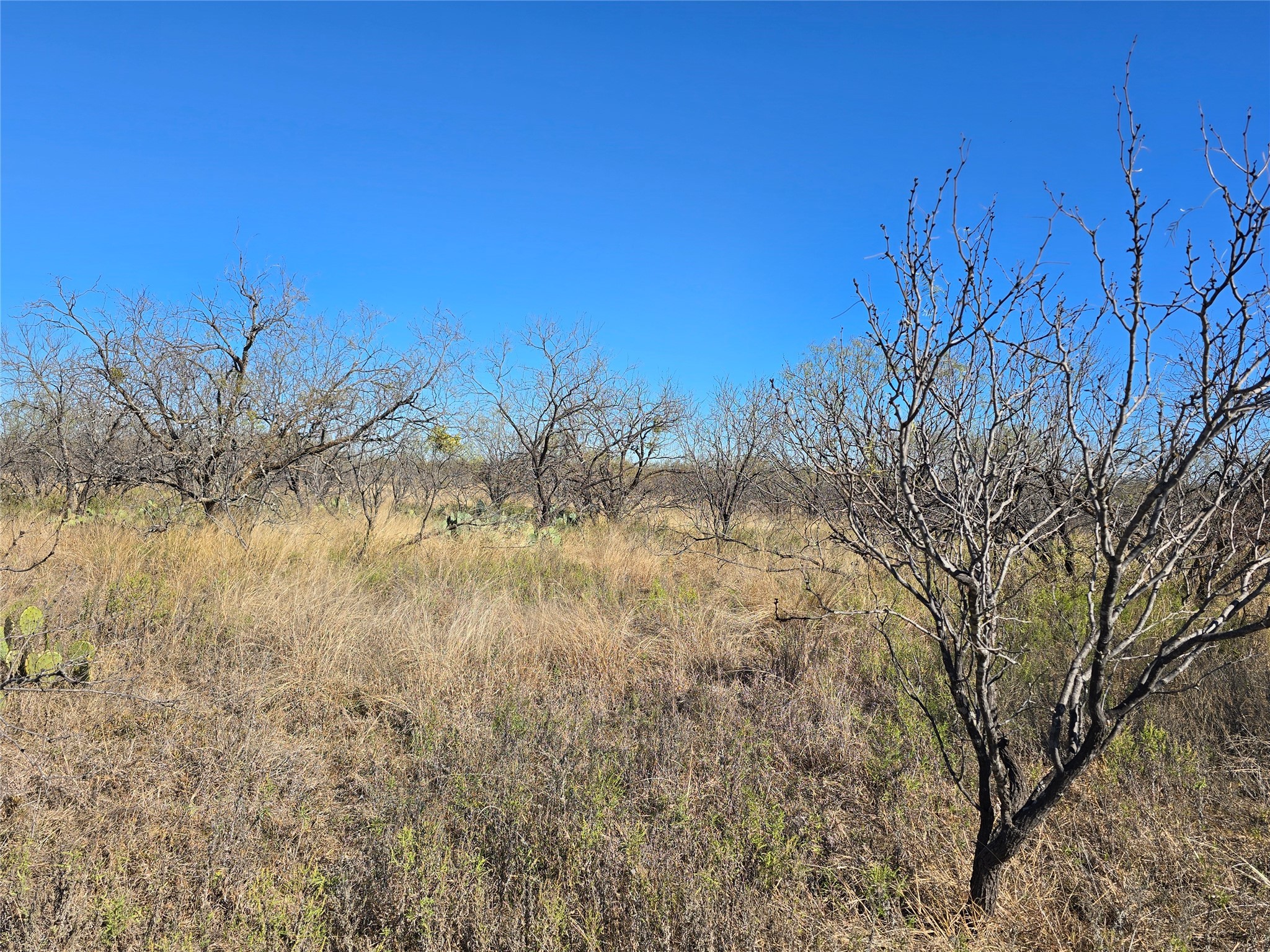 5780 County Road 266 Rochelle TX 76872