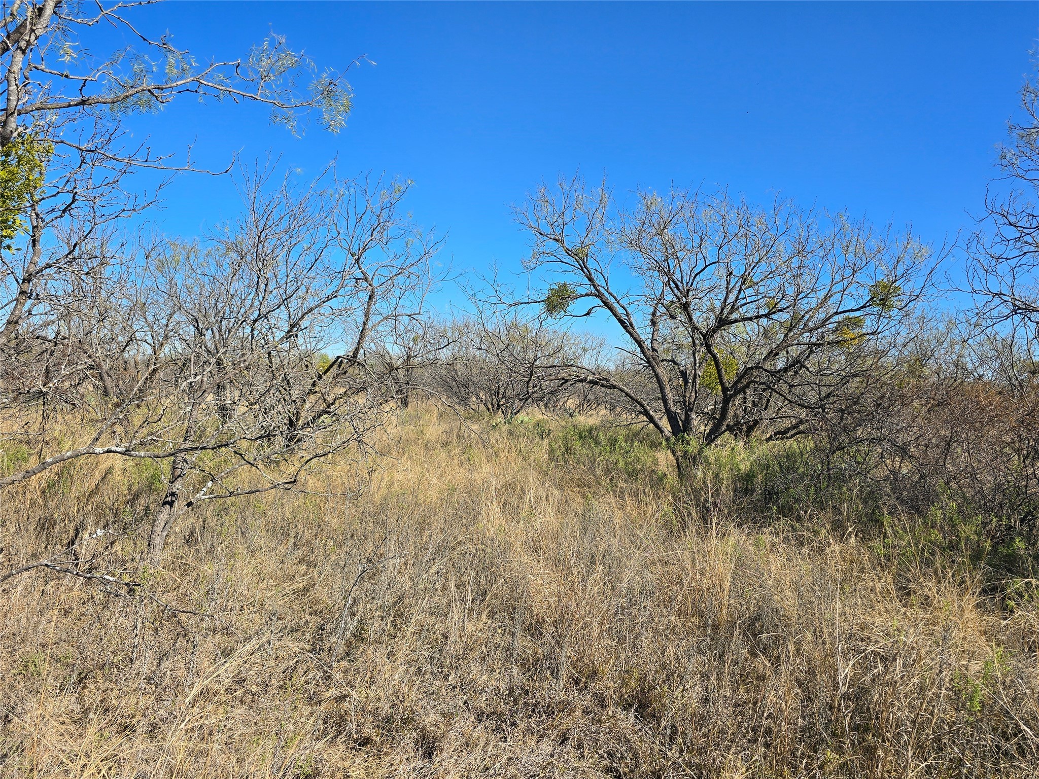 5780 County Road 266 Rochelle TX 76872