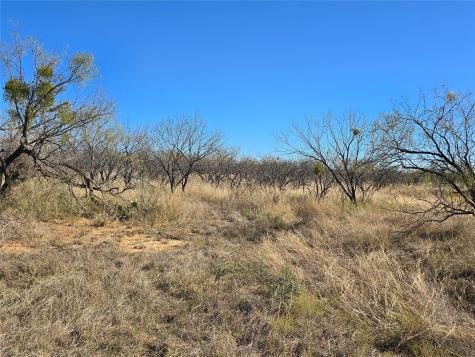 5780 County Road 266 Rochelle TX 76872