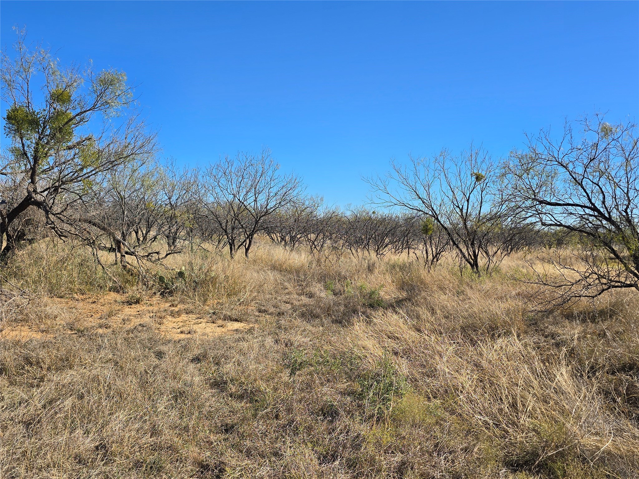 5780 County Road 266 Rochelle TX 76872