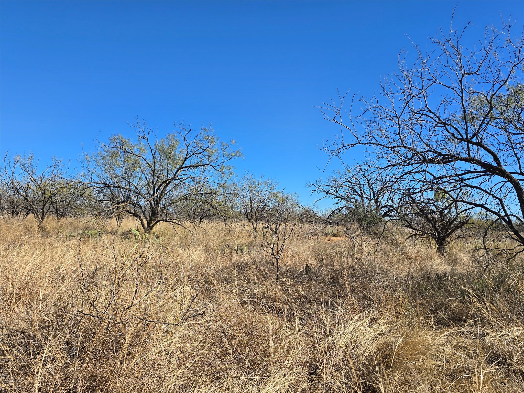 5780 County Road 266 Rochelle TX 76872