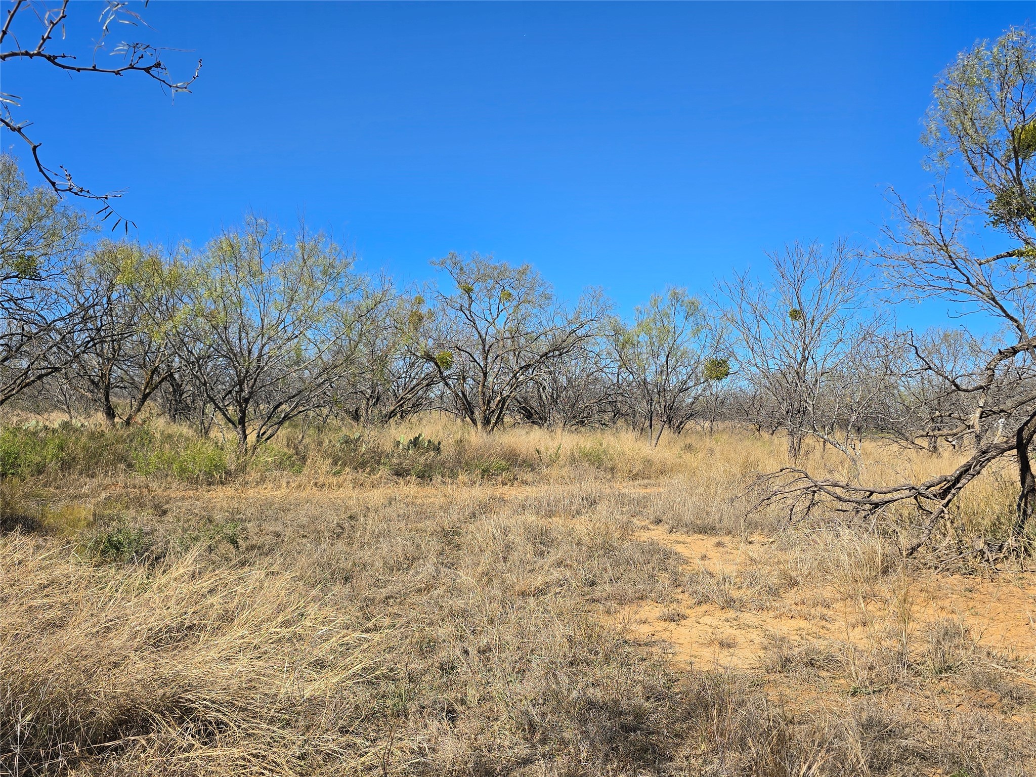 5780 County Road 266 Rochelle TX 76872