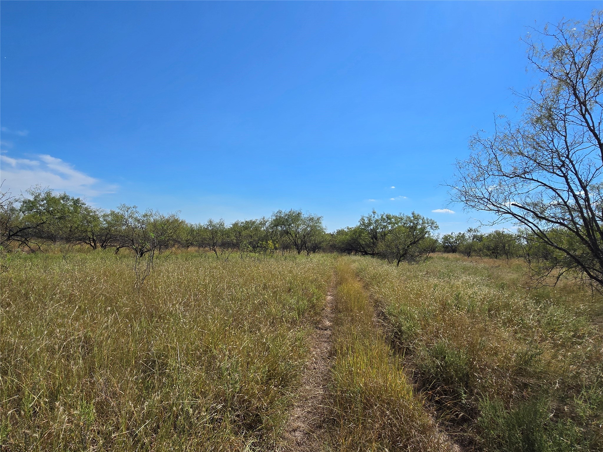 5780 County Road 266 Rochelle TX 76872