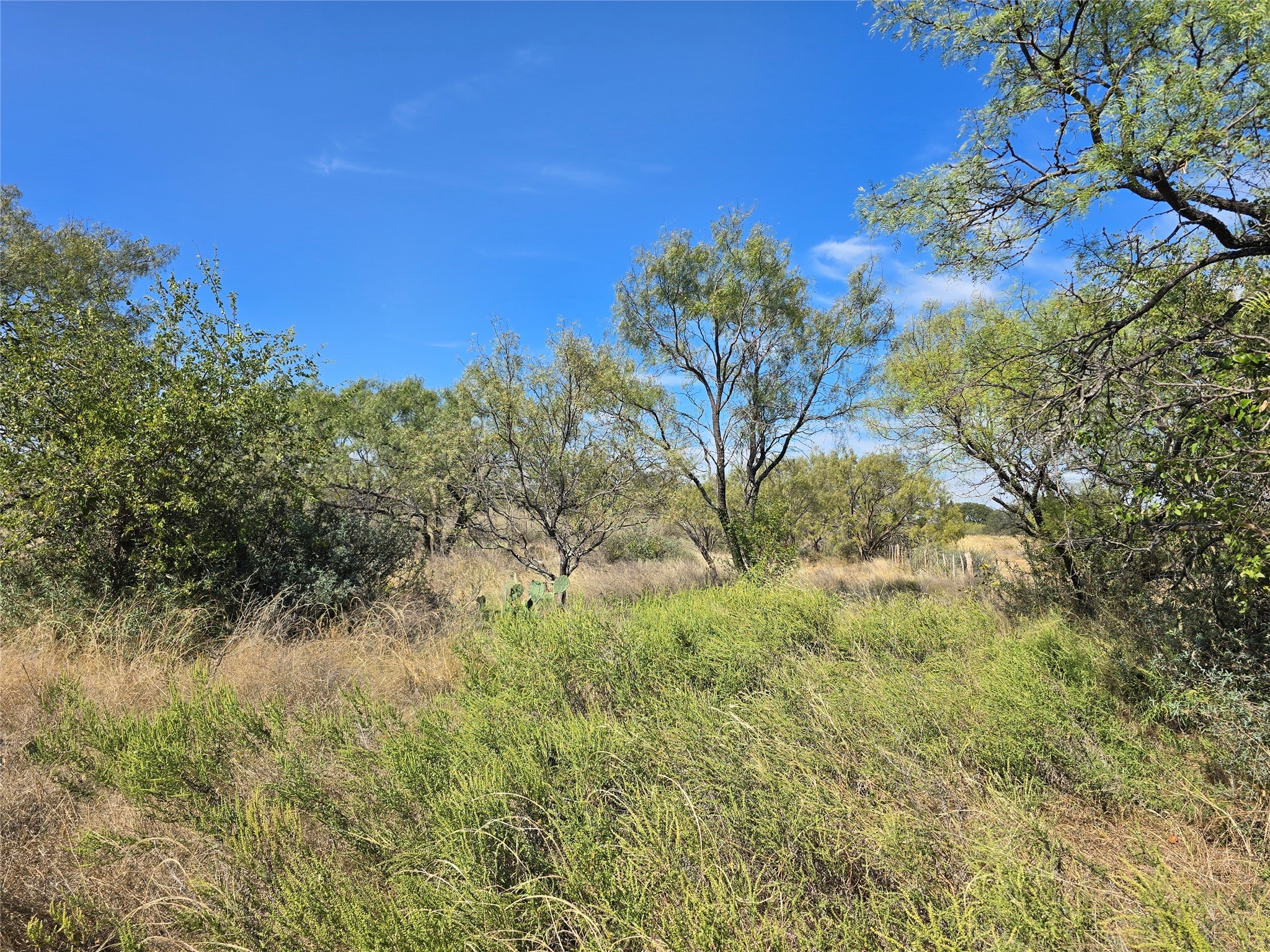 5780 County Road 266 Rochelle TX 76872