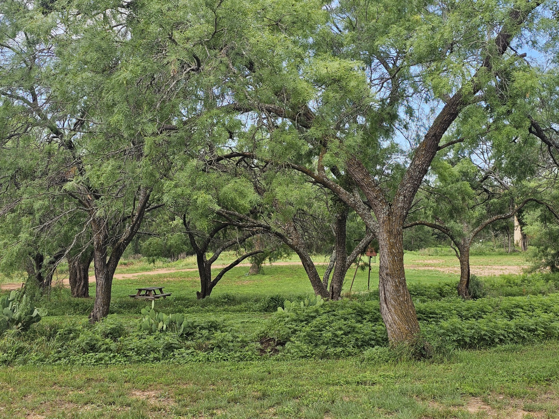 441 Cr 433 Mullin TX 76864