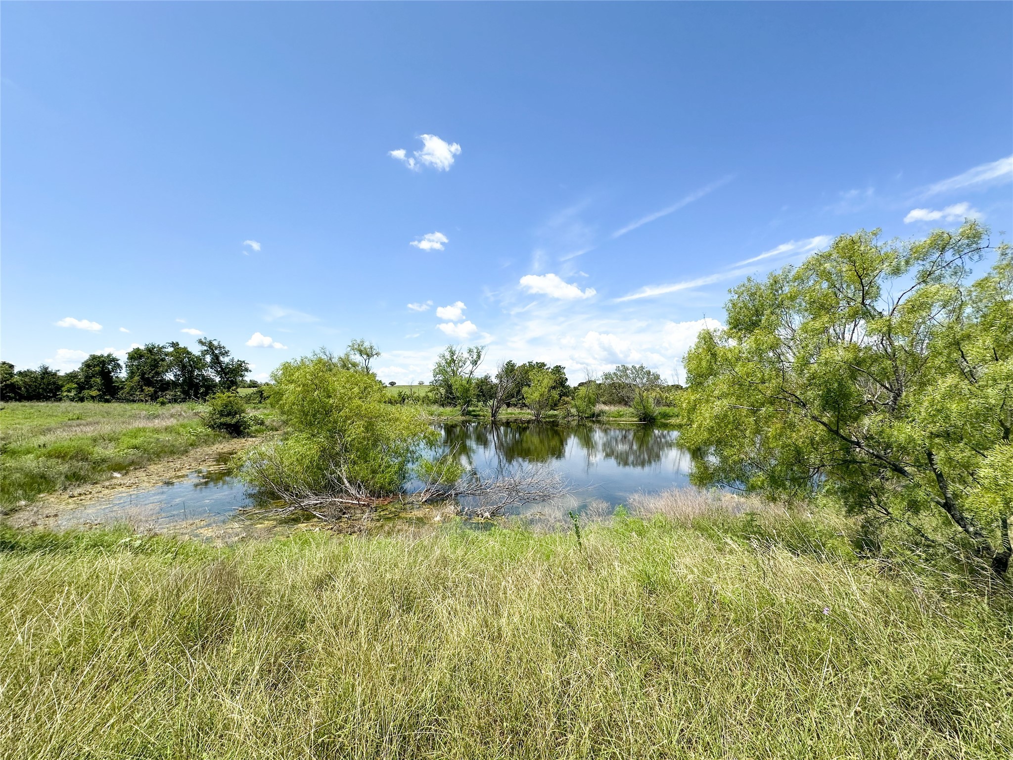 911 Old Pidcoke Gatesville TX 76528