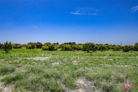 Tbd Boswell Court Lipan TX 76462