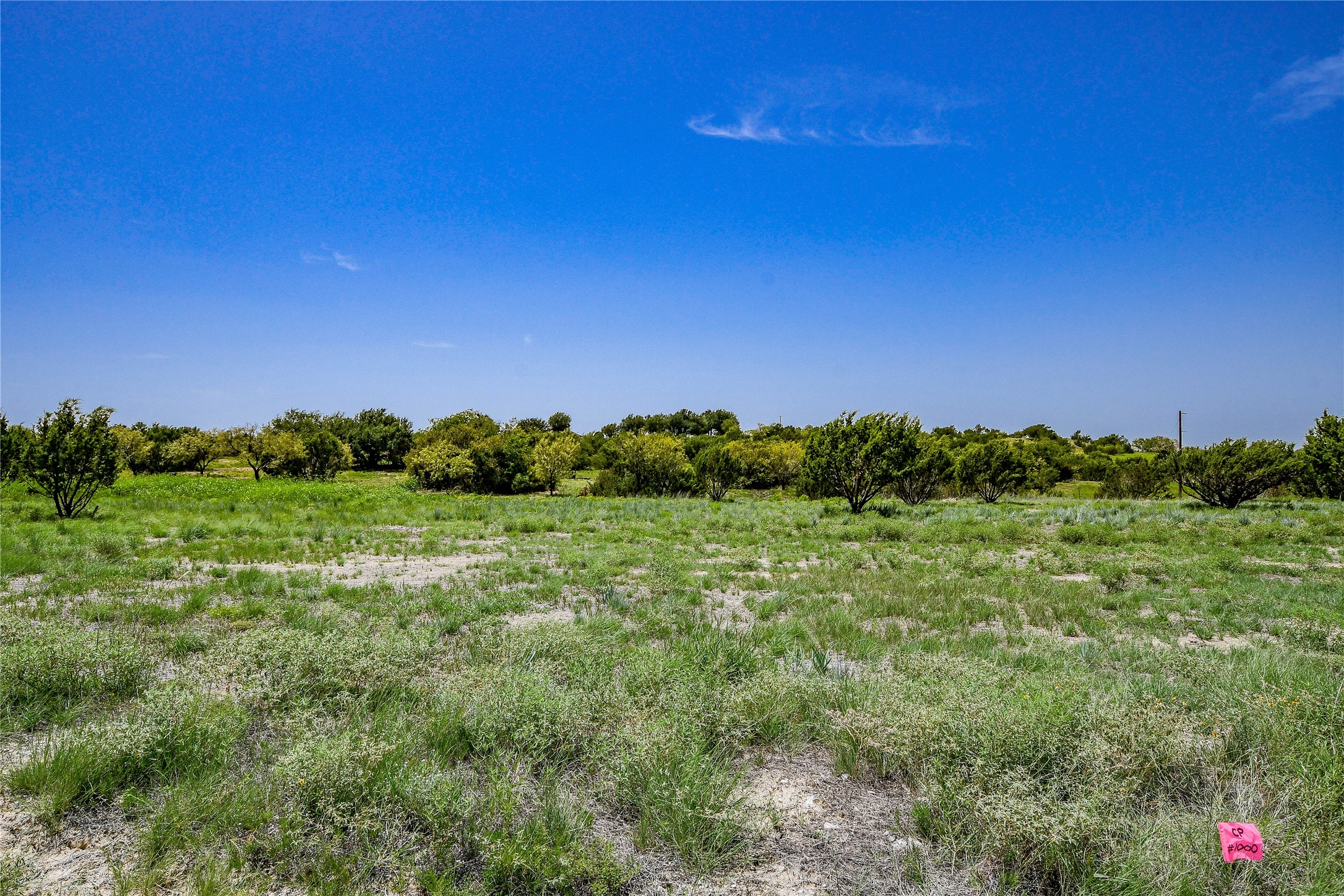 Tbd Boswell Court Lipan TX 76462