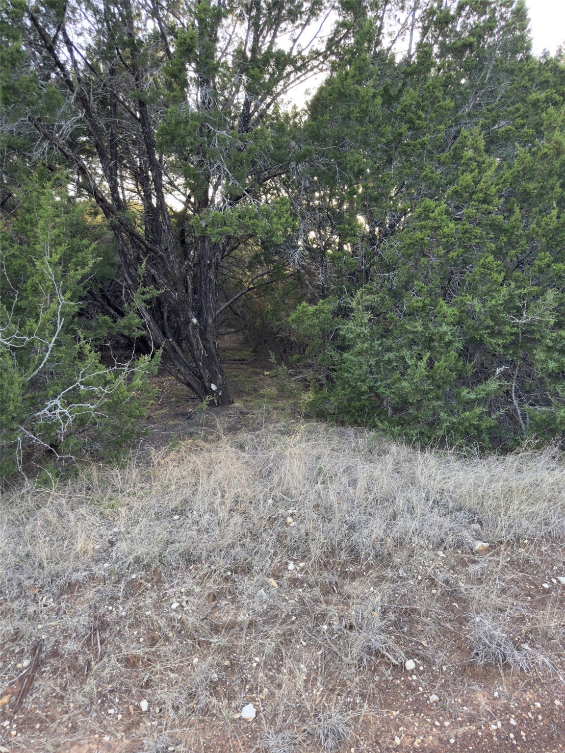 22295 Westmeadow Drive Whitney TX 76692