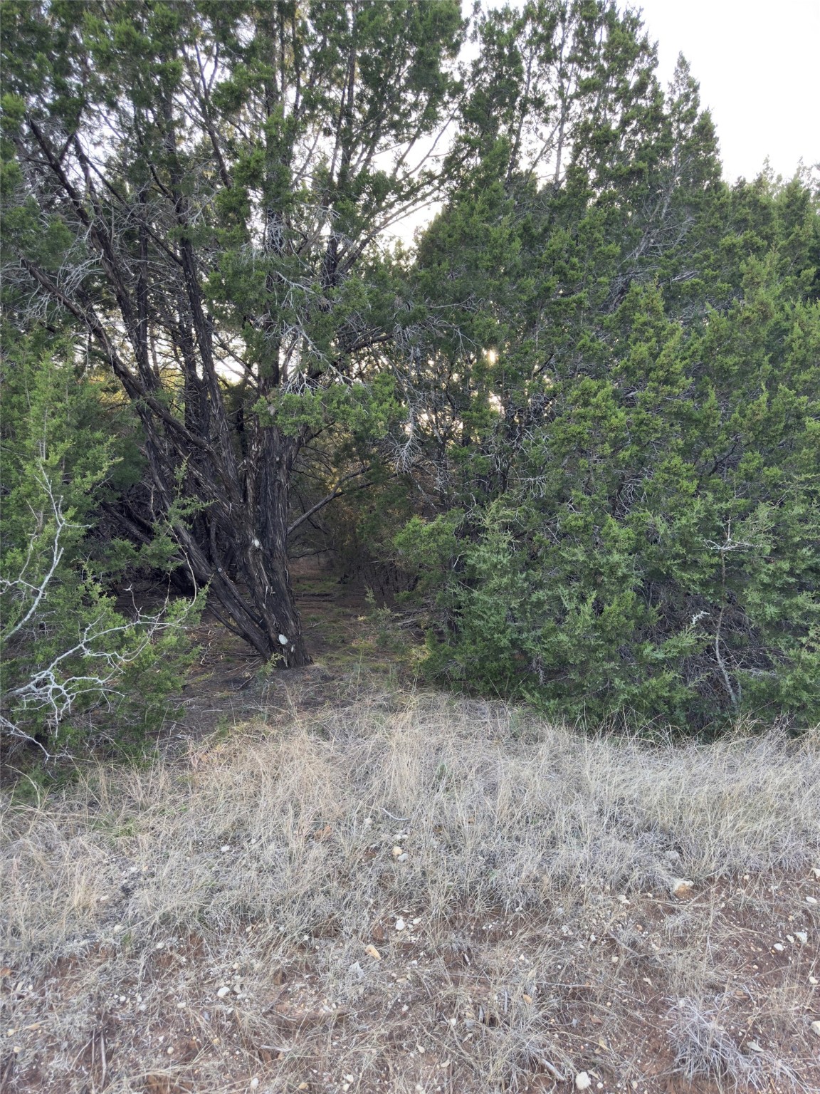 22295 Westmeadow Drive Whitney TX 76692
