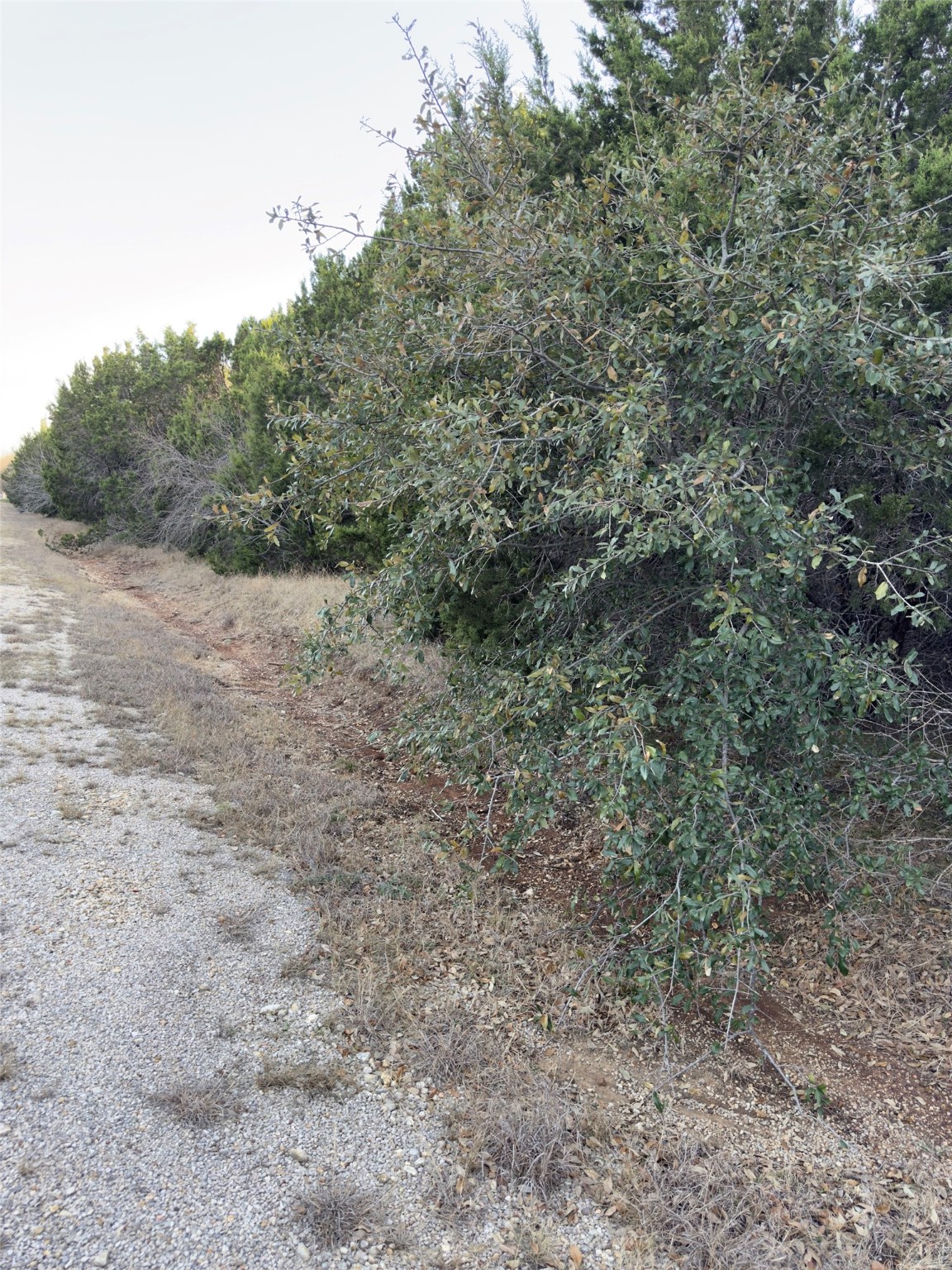 22295 Westmeadow Drive Whitney TX 76692