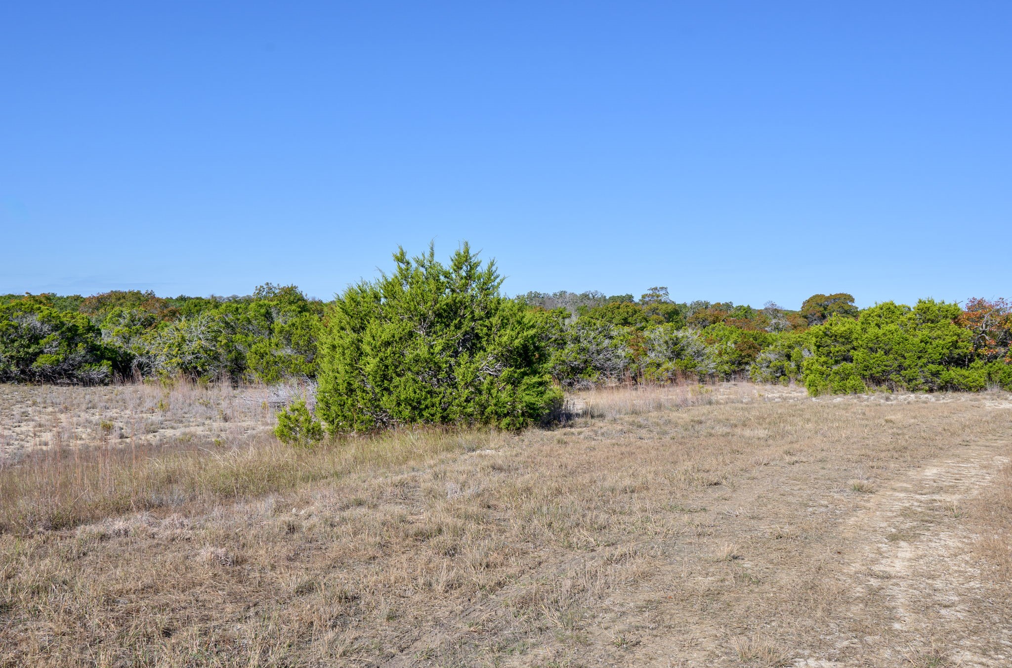 Tbd Highway 6 Clifton TX 76689