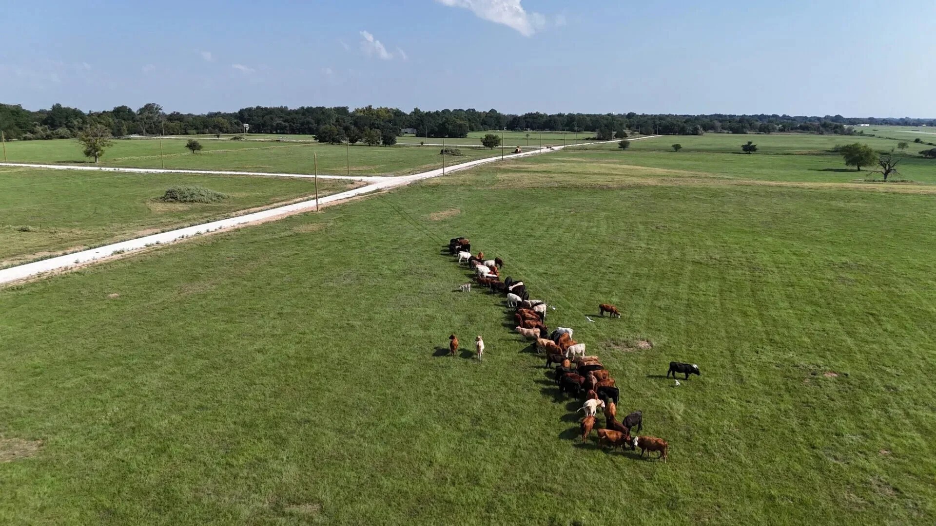 P2L18 County Road 463 Mexia TX 76667