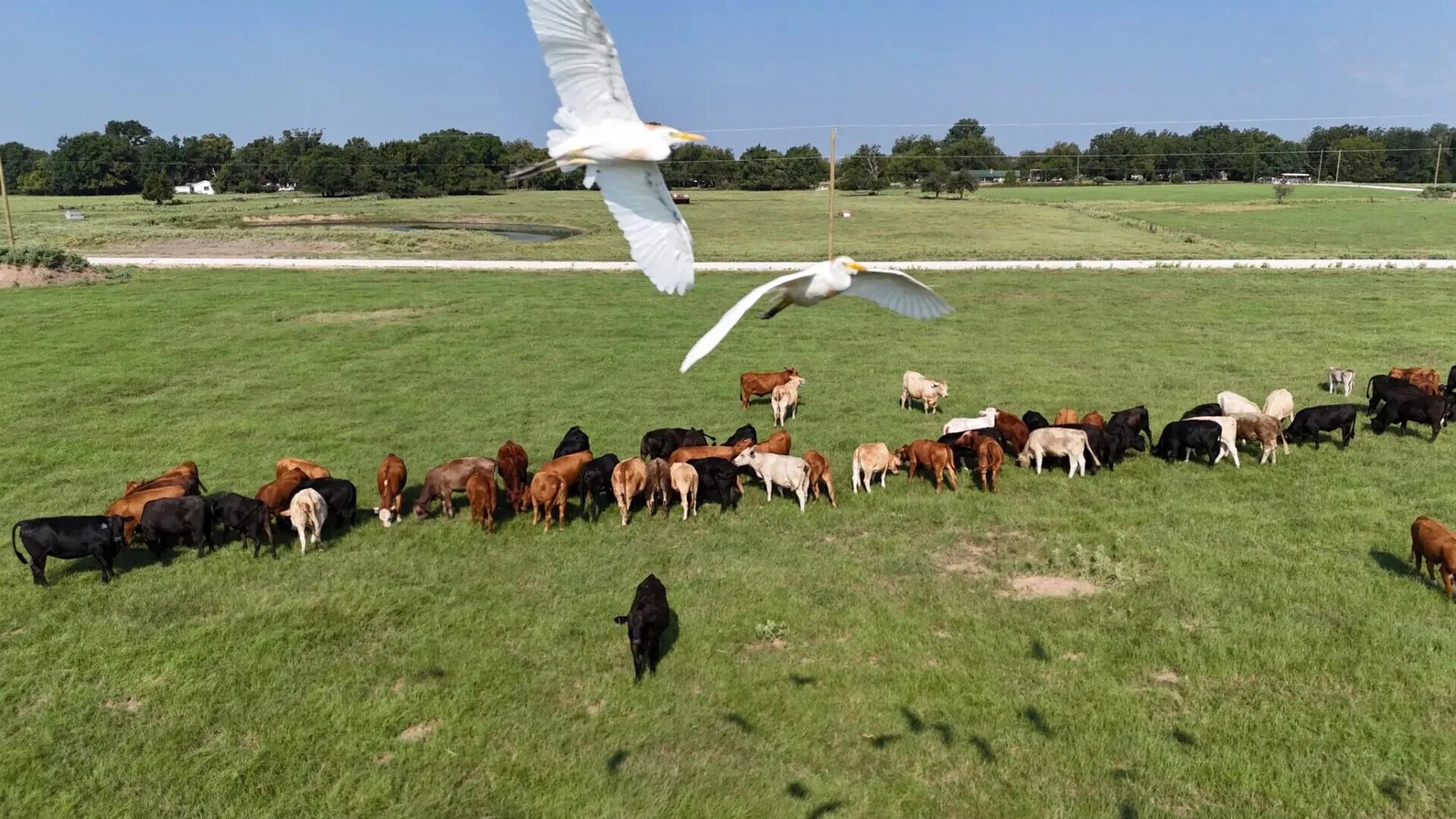 P2L18 County Road 463 Mexia TX 76667