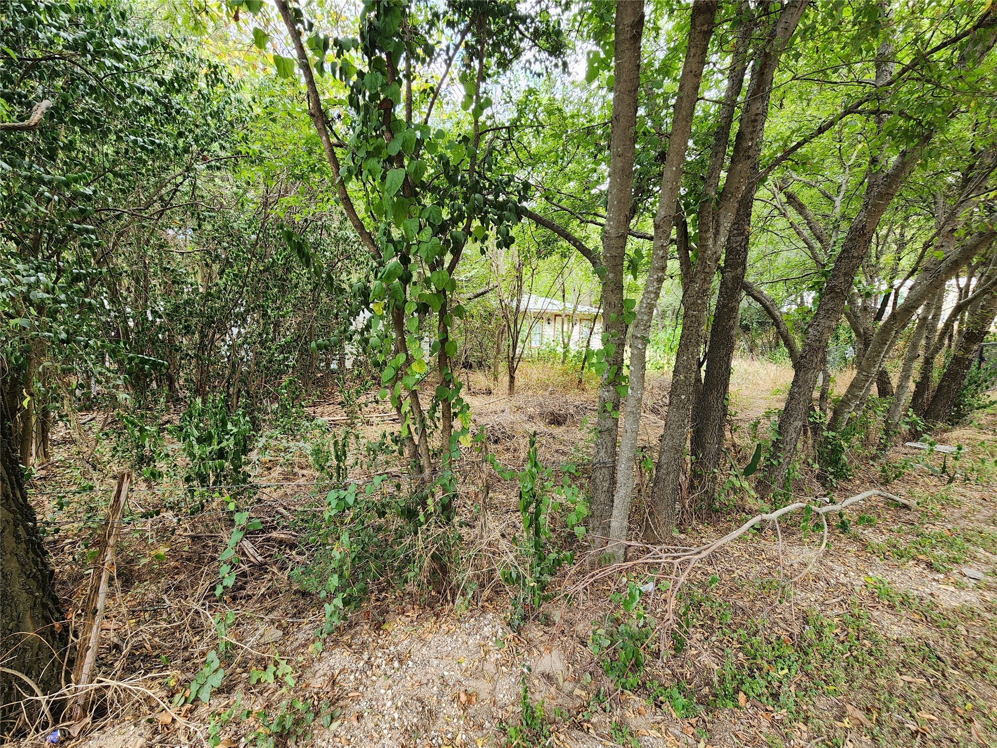 Tbd Timberline Drive Whitney TX 76692