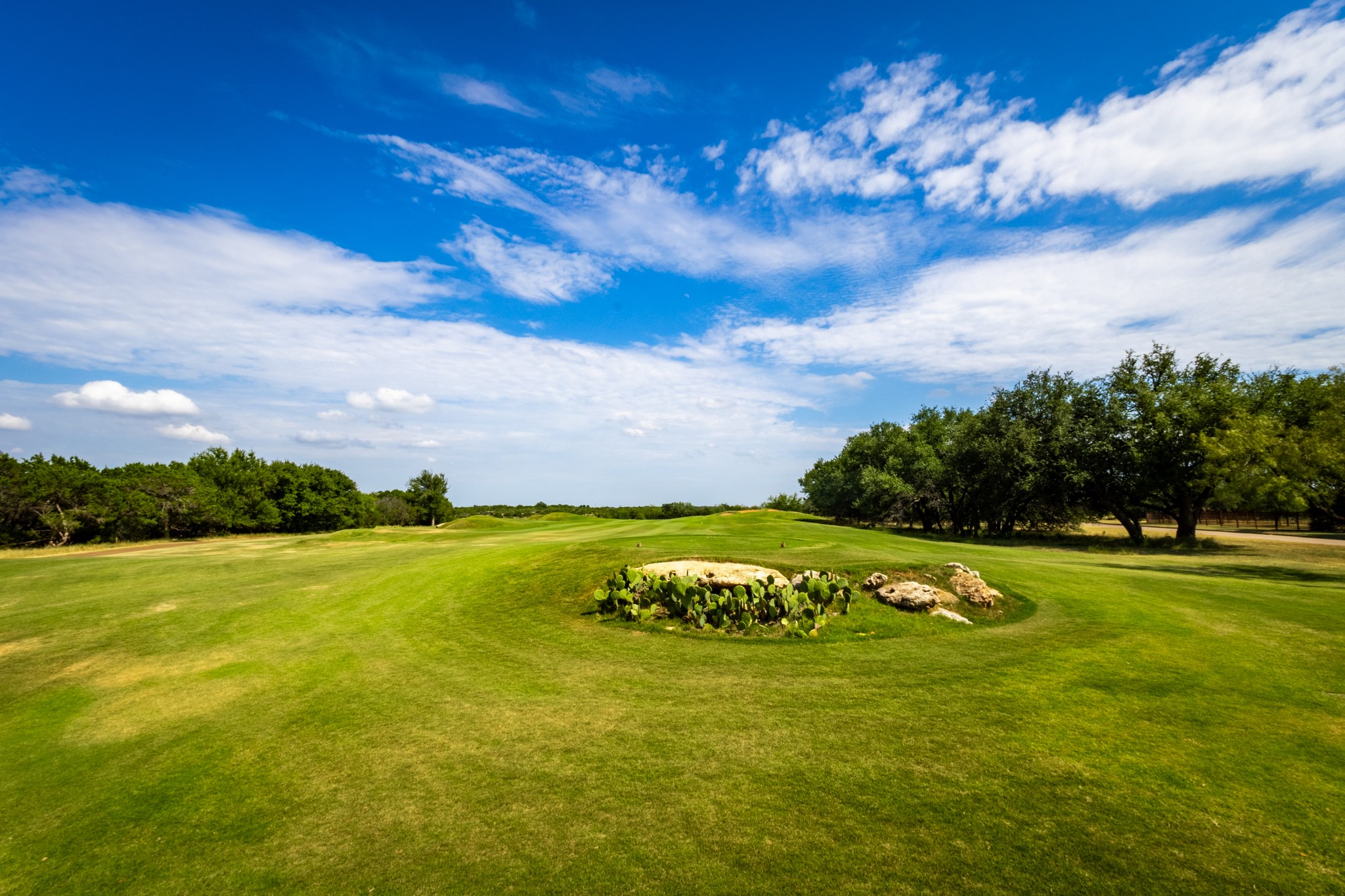 Lot 14/15 Shoal Creek Court Possum Kingdom Lake TX 76449