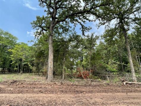 608 Roy Coffee Court Weatherford TX 76087