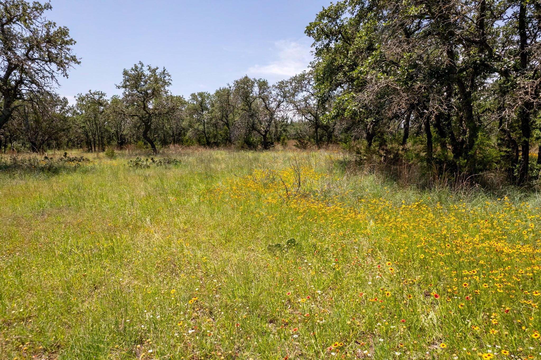 109 County Road 530 Mullin TX 76864