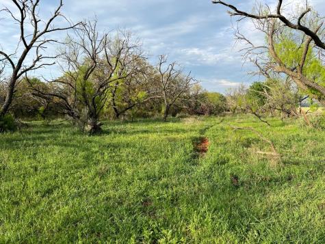 E. 34.1 Hoffman Road Loving TX 76460
