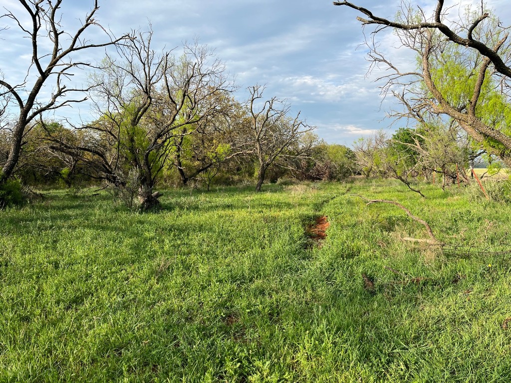 E. 34.1 Hoffman Road Loving TX 76460