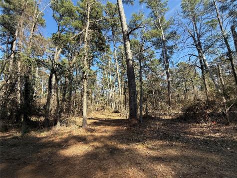 Lot 2 Private Road 8573 Winnsboro TX 75494