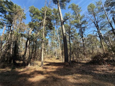 Lot 2 Private Road 8573 Winnsboro TX 75494