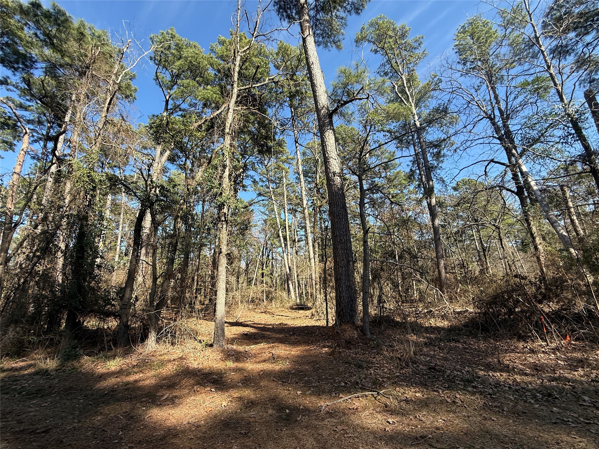 Lot 2 Private Road 8573 Winnsboro TX 75494