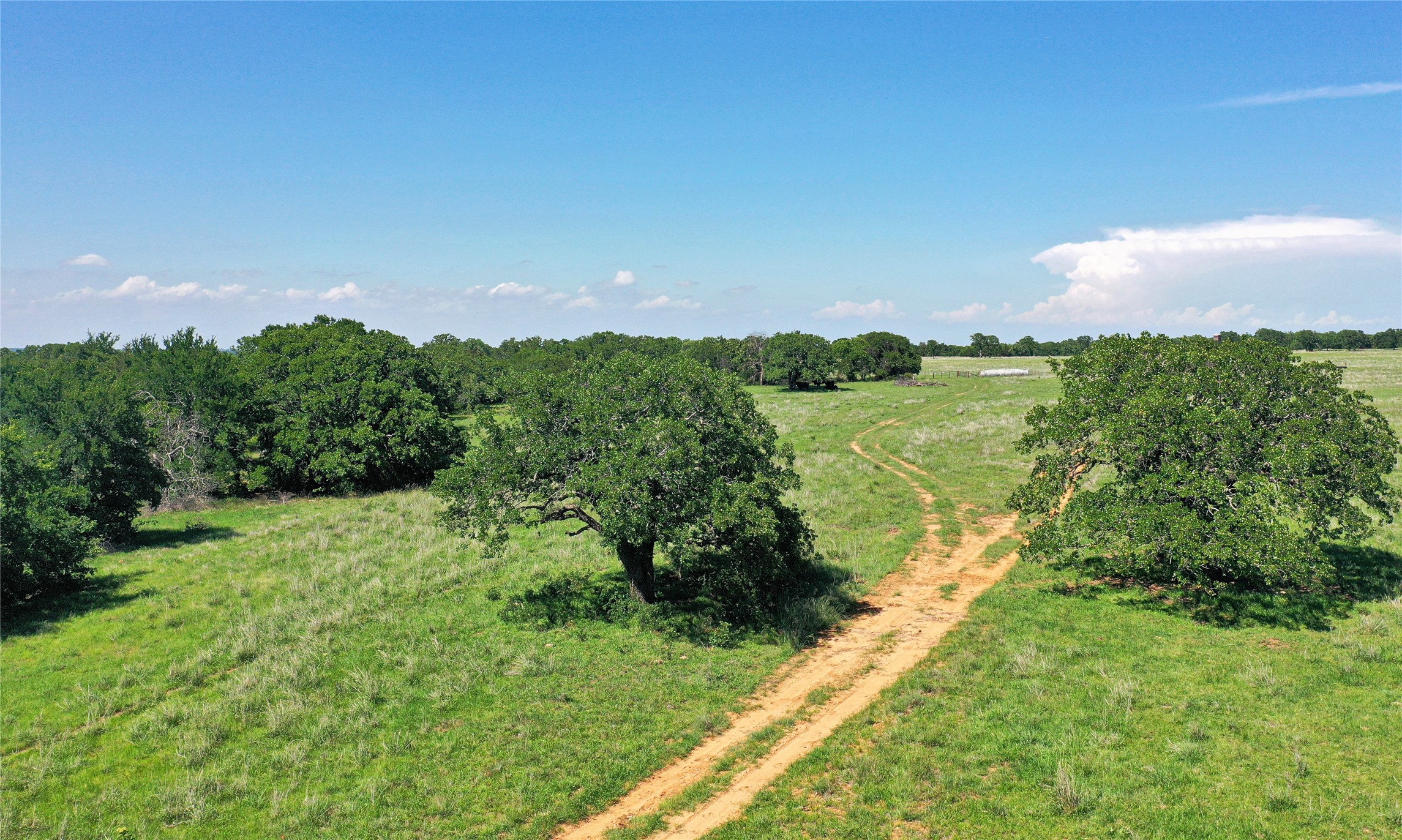136 Acres Fm 2127 Bowie TX 76230