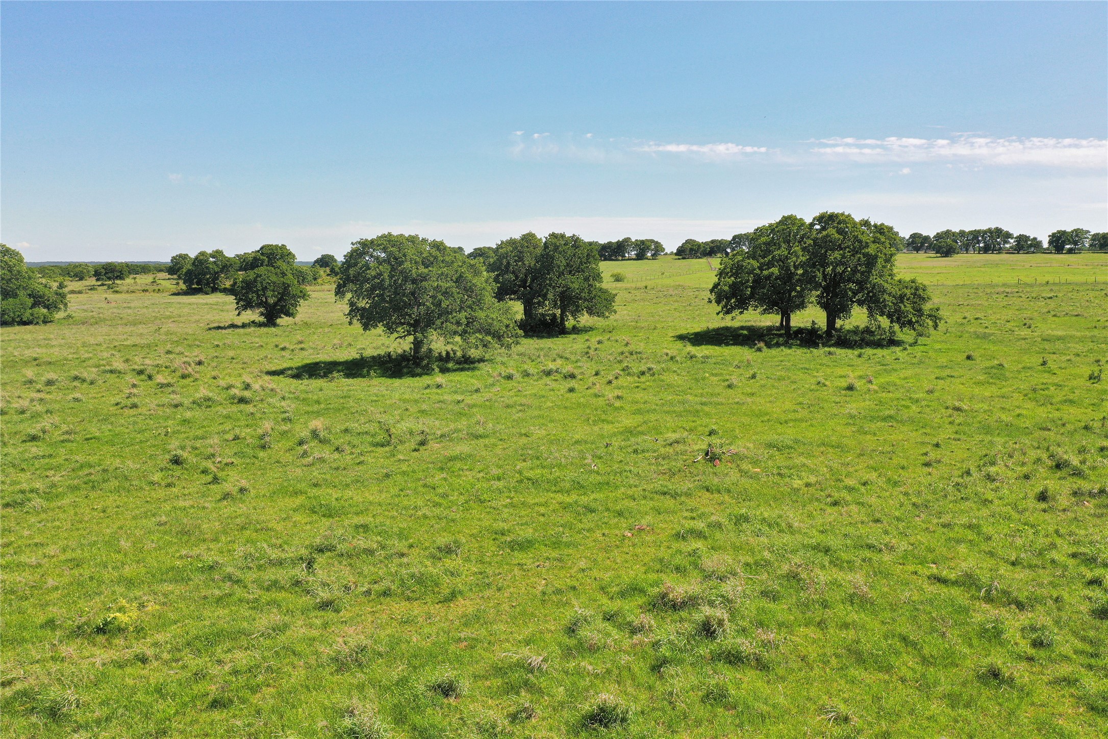 136 Acres Fm 2127 Bowie TX 76230
