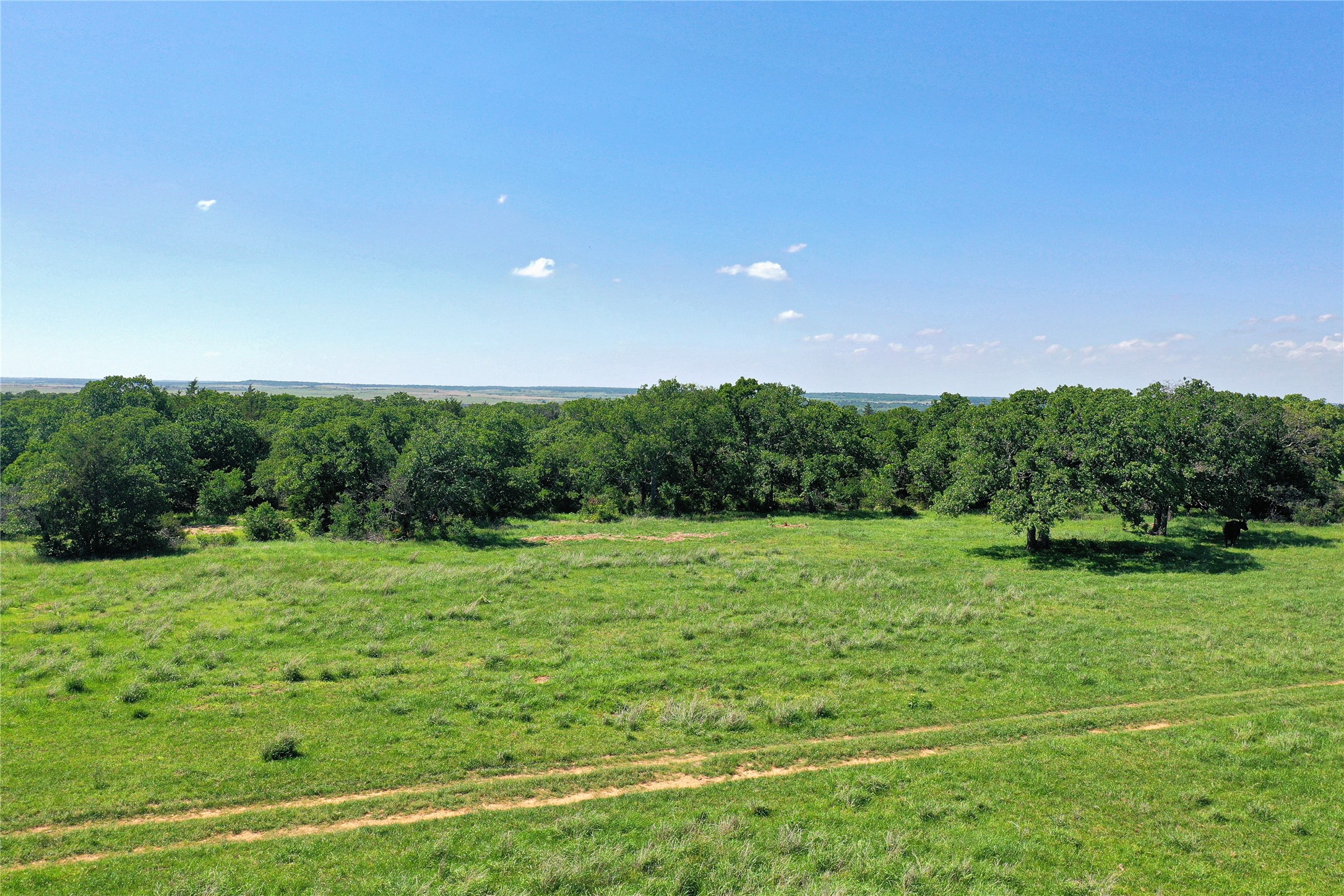 136 Acres Fm 2127 Bowie TX 76230