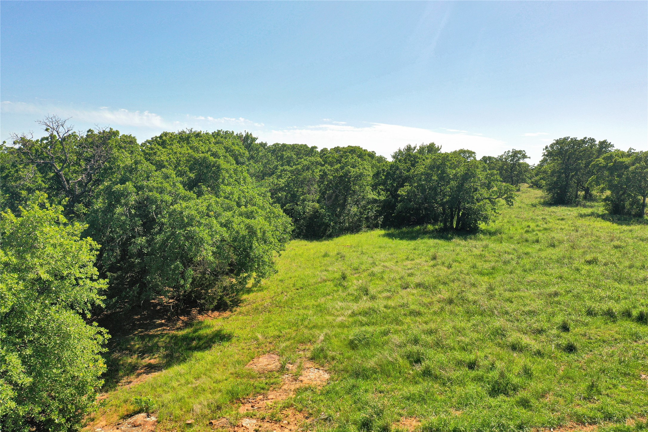 136 Acres Fm 2127 Bowie TX 76230