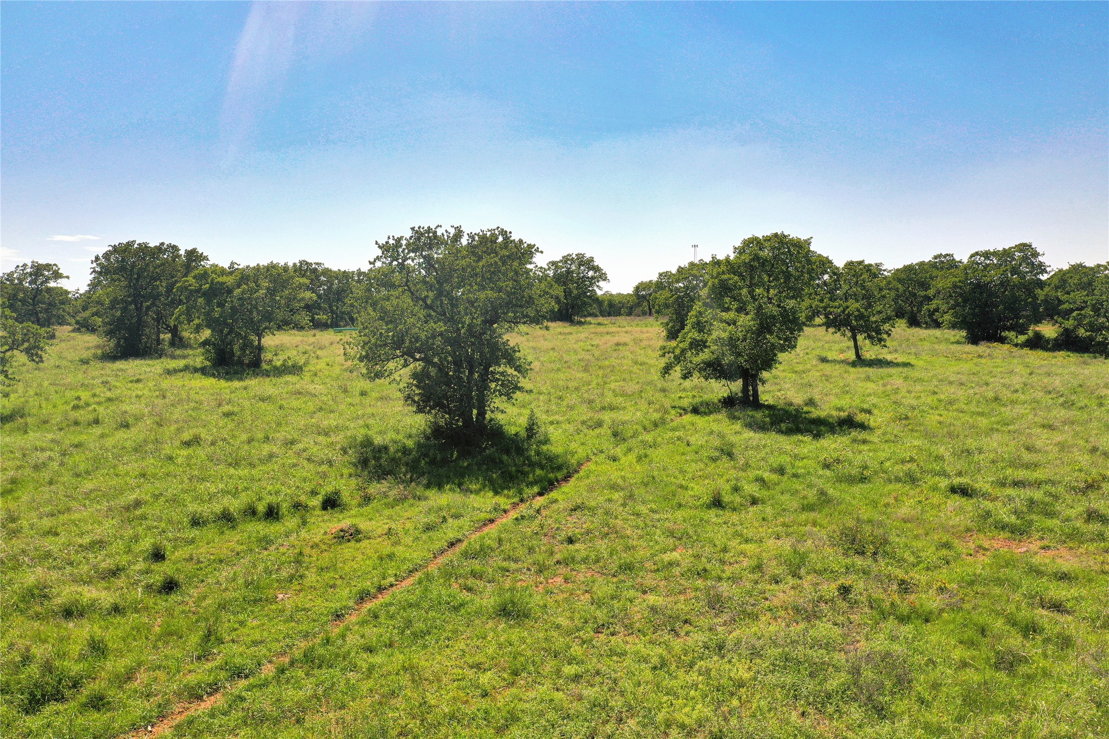 136 Acres Fm 2127 Bowie TX 76230