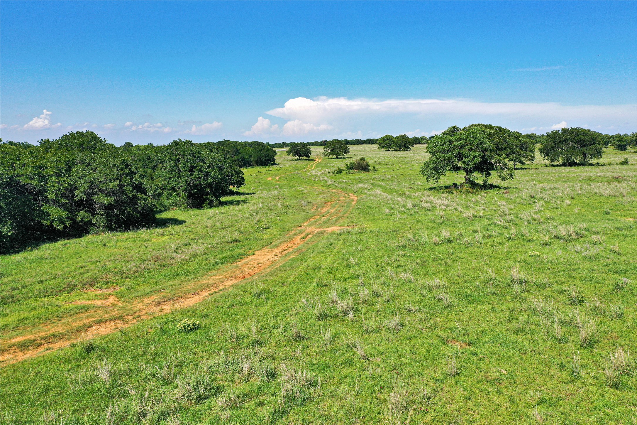 136 Acres Fm 2127 Bowie TX 76230