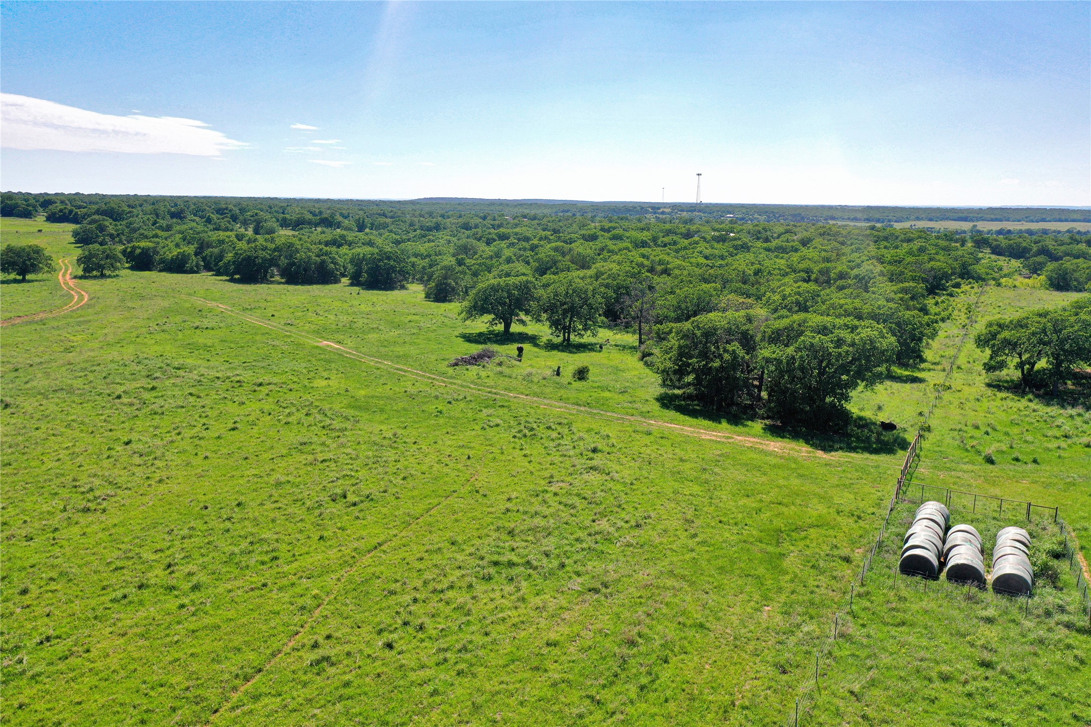 136 Acres Fm 2127 Bowie TX 76230