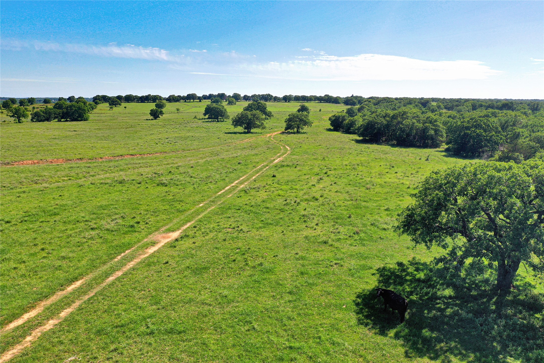 136 Acres Fm 2127 Bowie TX 76230