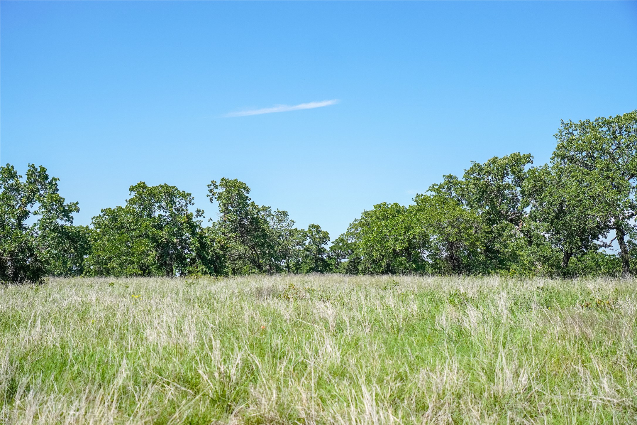 136 Acres Fm 2127 Bowie TX 76230