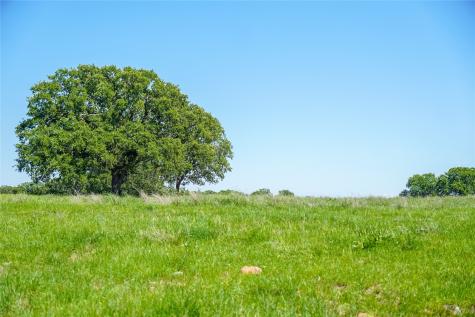 136 Acres Fm 2127 Bowie TX 76230