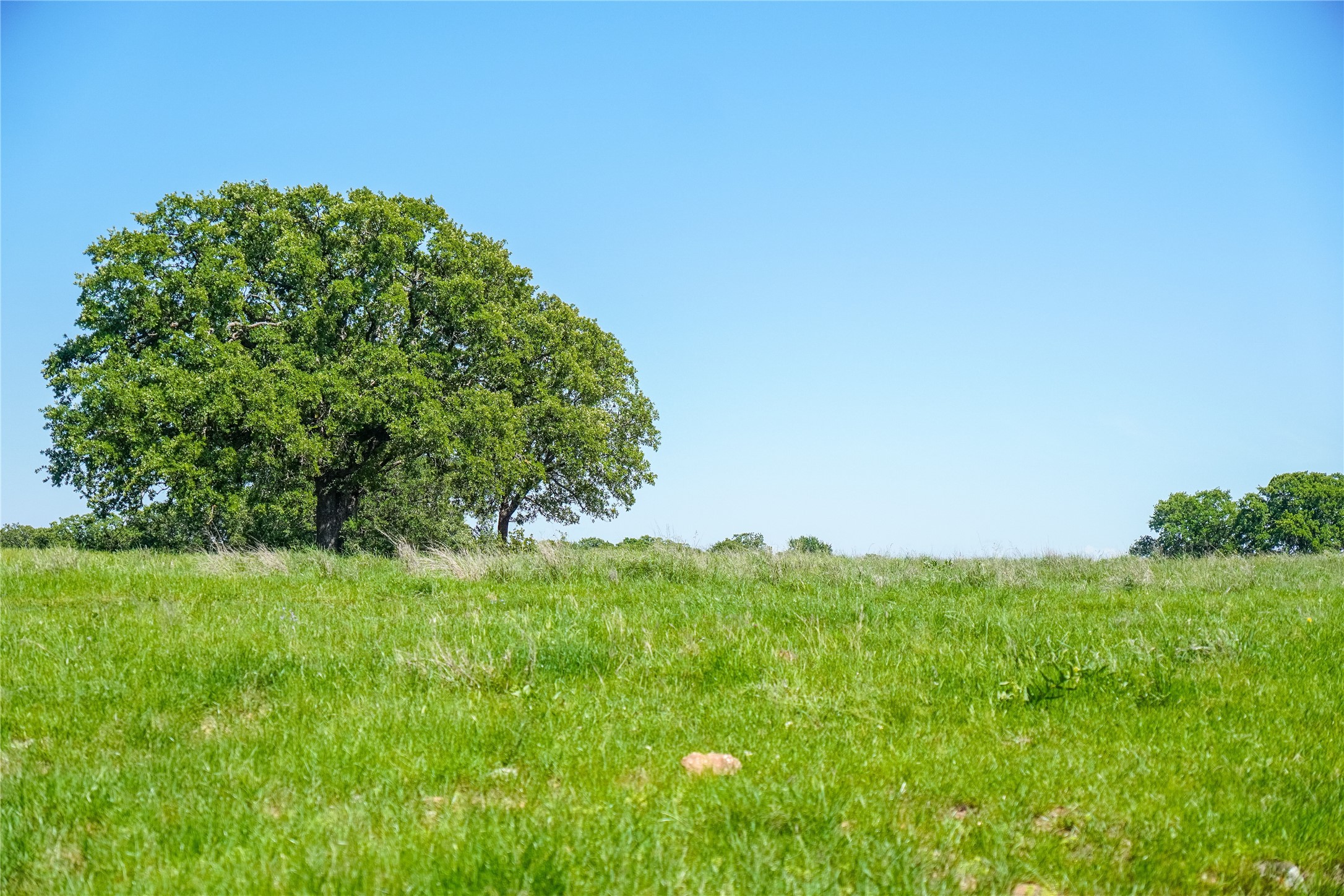 136 Acres Fm 2127 Bowie TX 76230