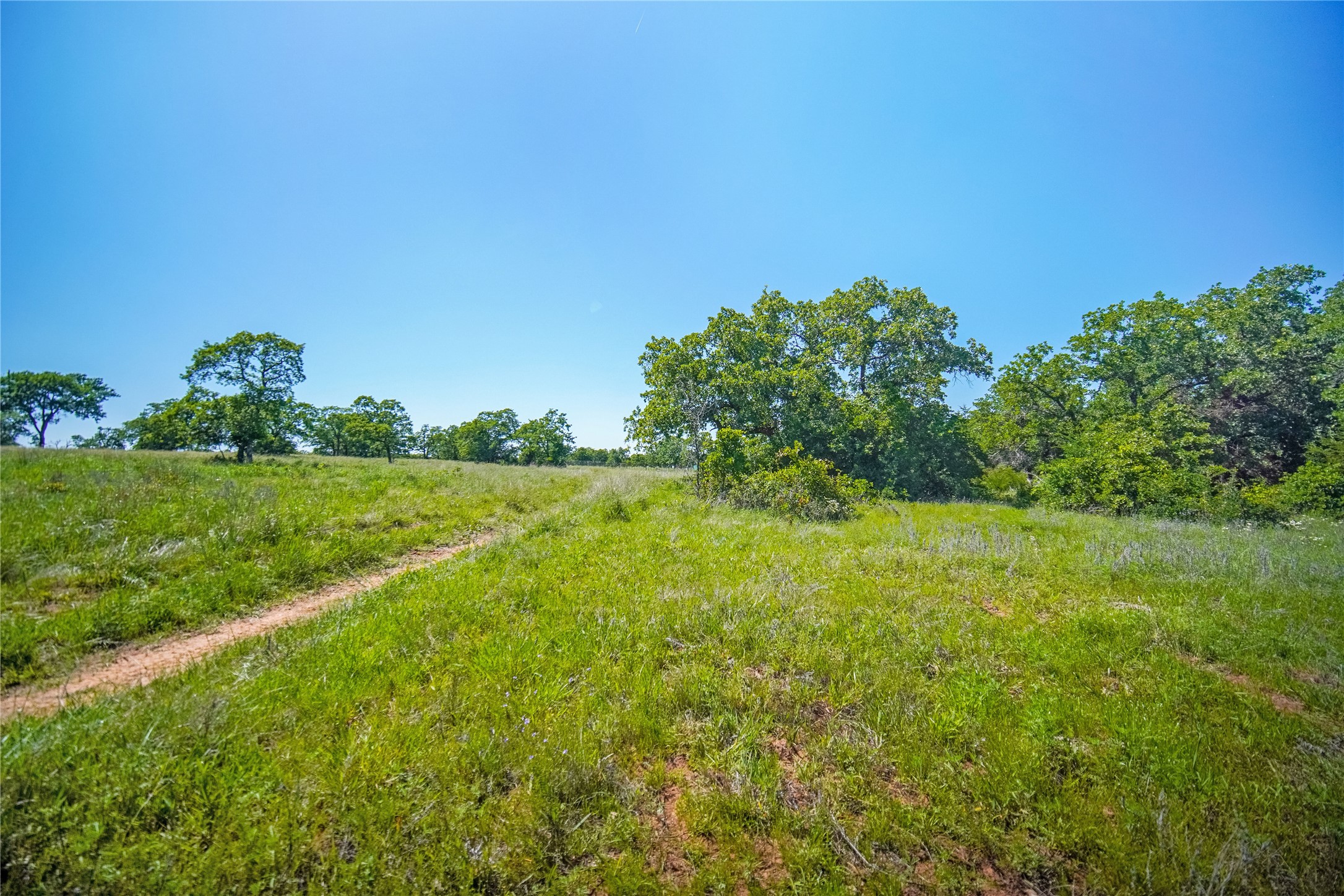 136 Acres Fm 2127 Bowie TX 76230