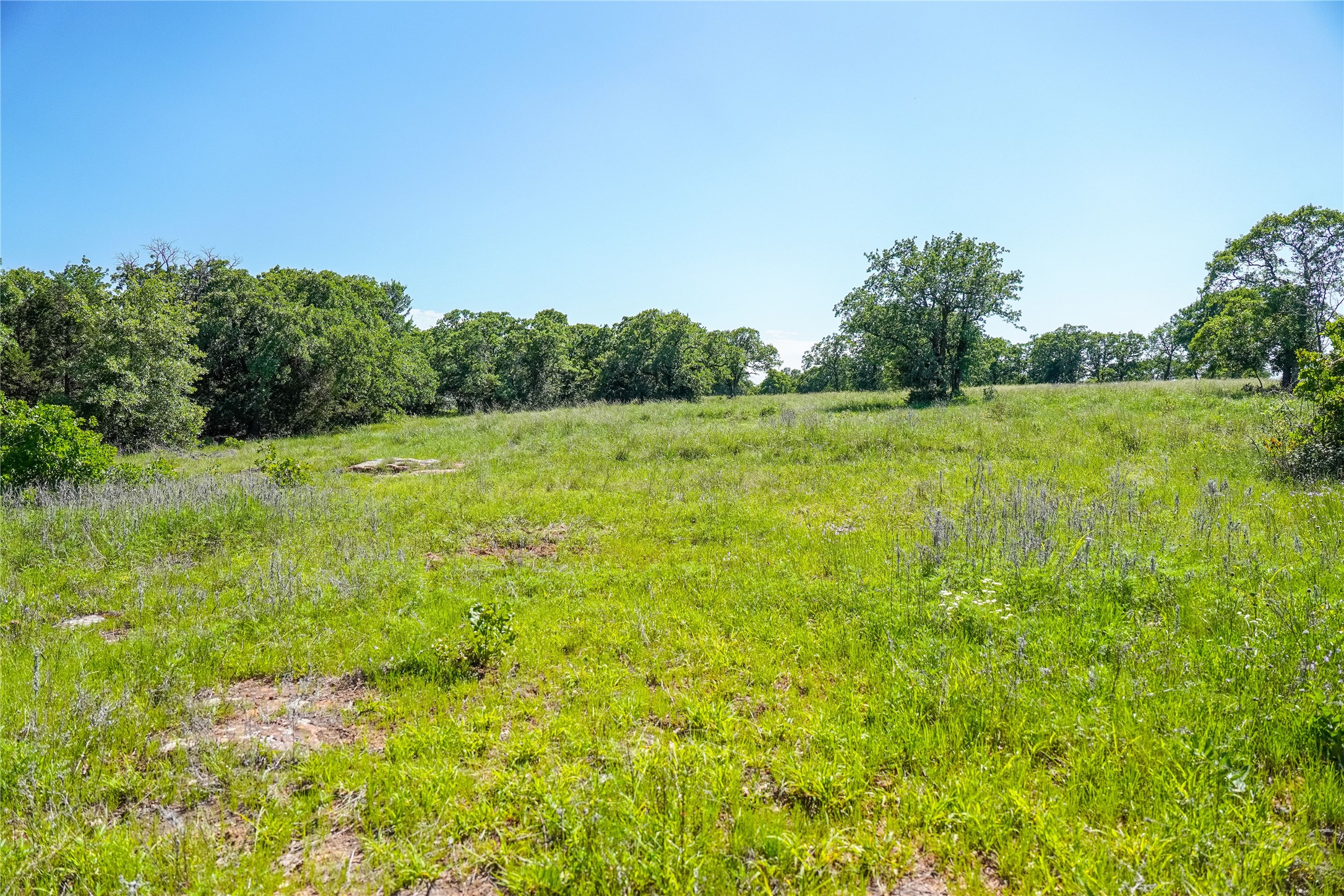 136 Acres Fm 2127 Bowie TX 76230