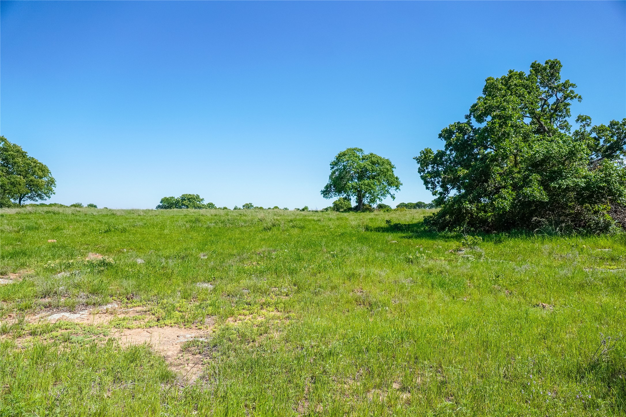 136 Acres Fm 2127 Bowie TX 76230