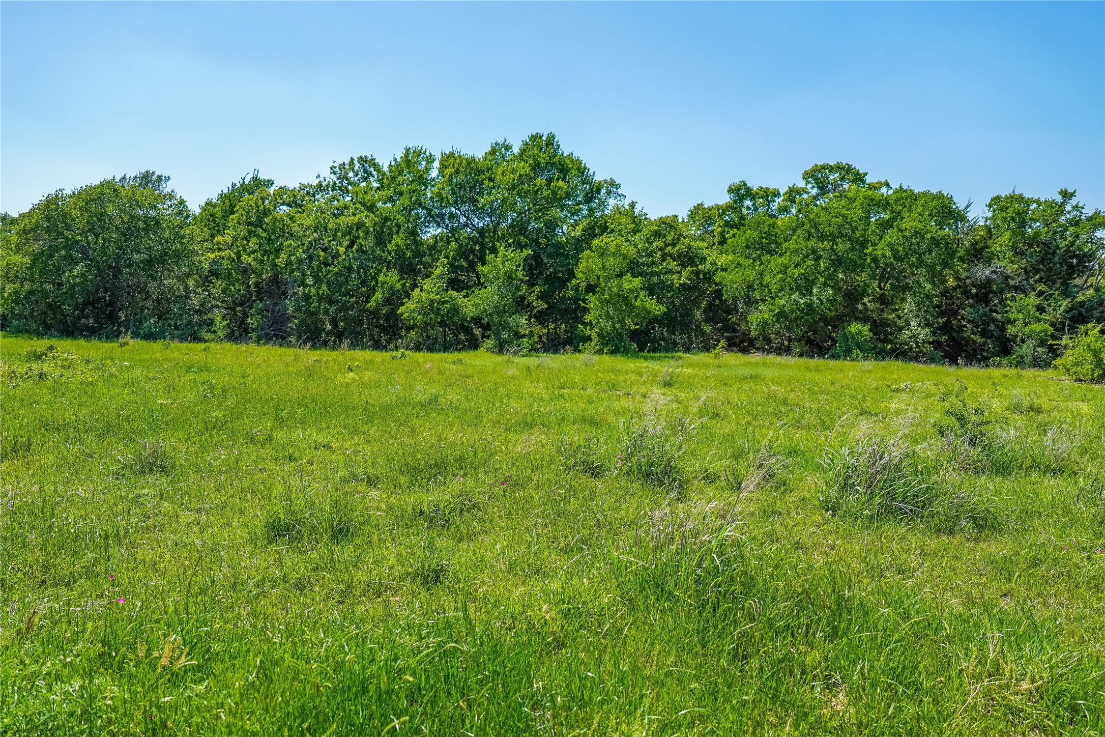 136 Acres Fm 2127 Bowie TX 76230