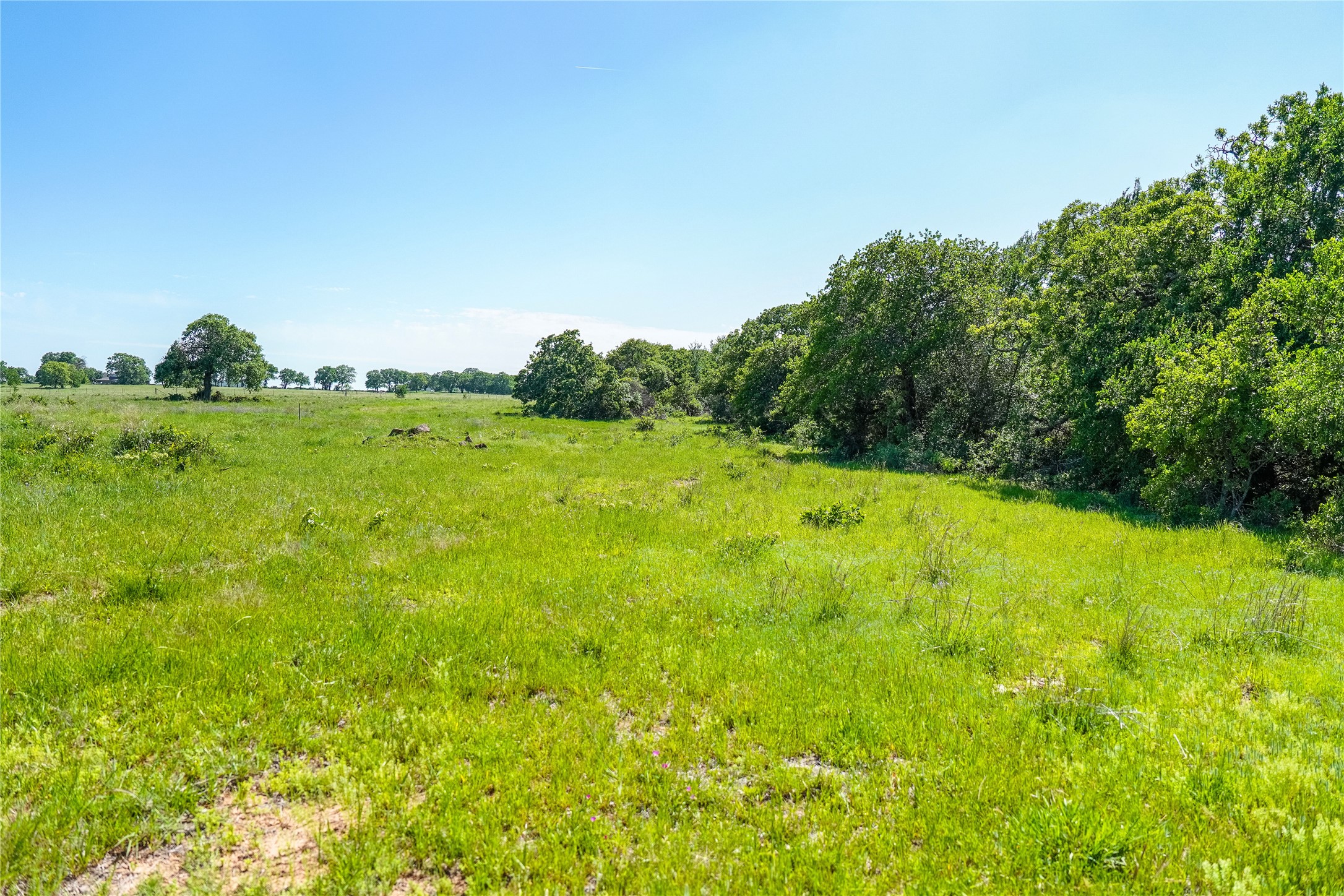 136 Acres Fm 2127 Bowie TX 76230