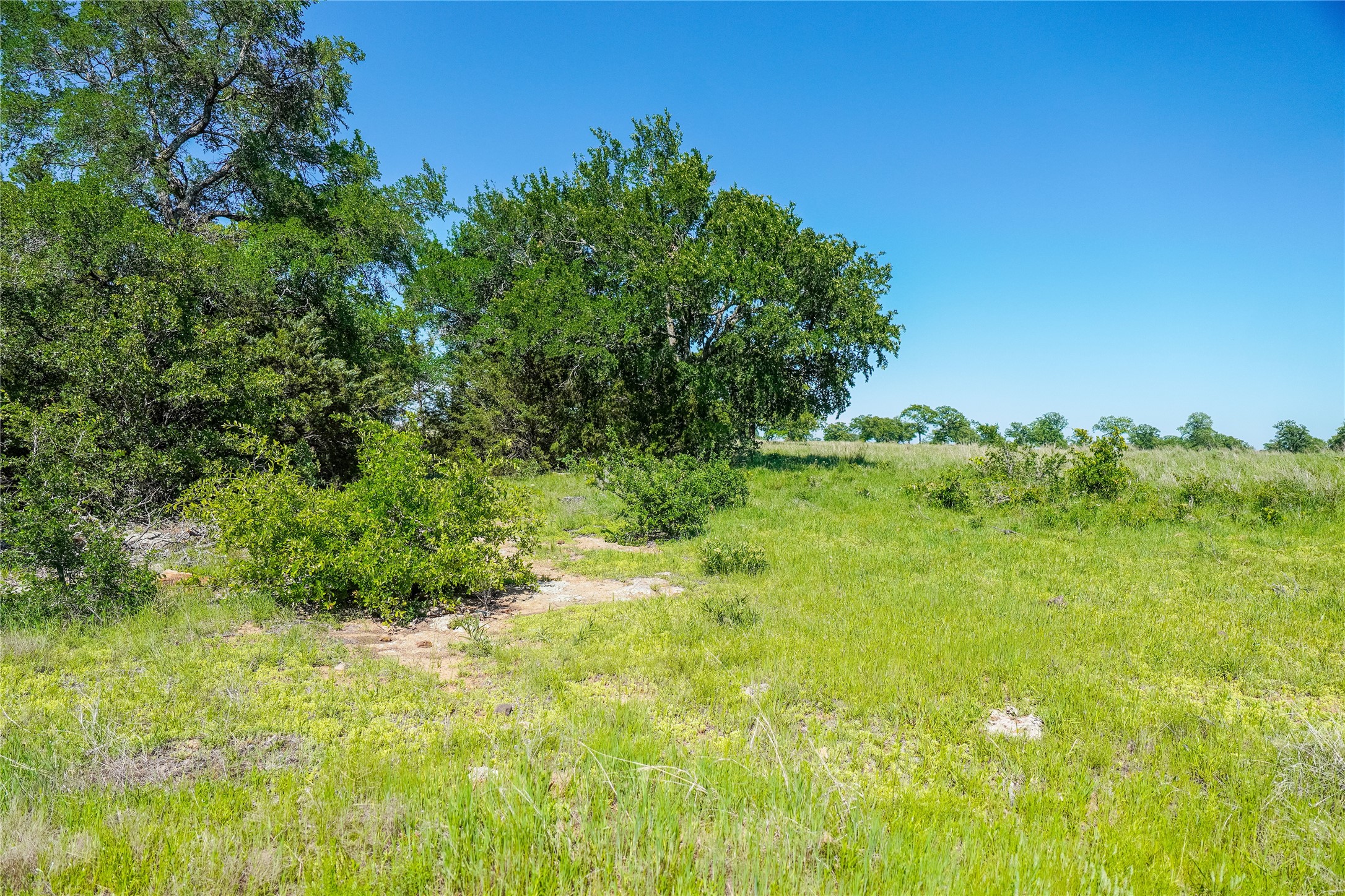 136 Acres Fm 2127 Bowie TX 76230