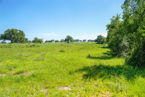 136 Acres Fm 2127 Bowie TX 76230