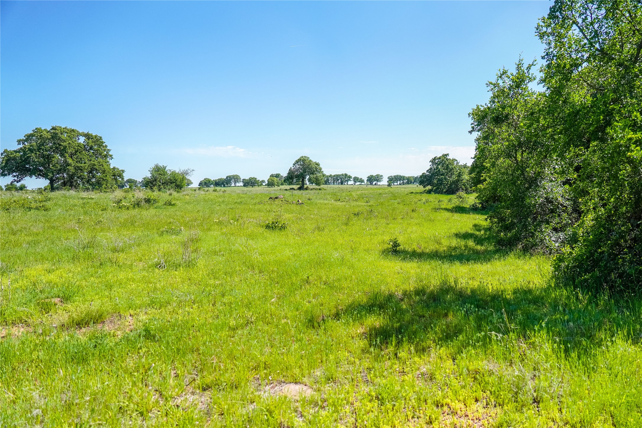 136 Acres Fm 2127 Bowie TX 76230