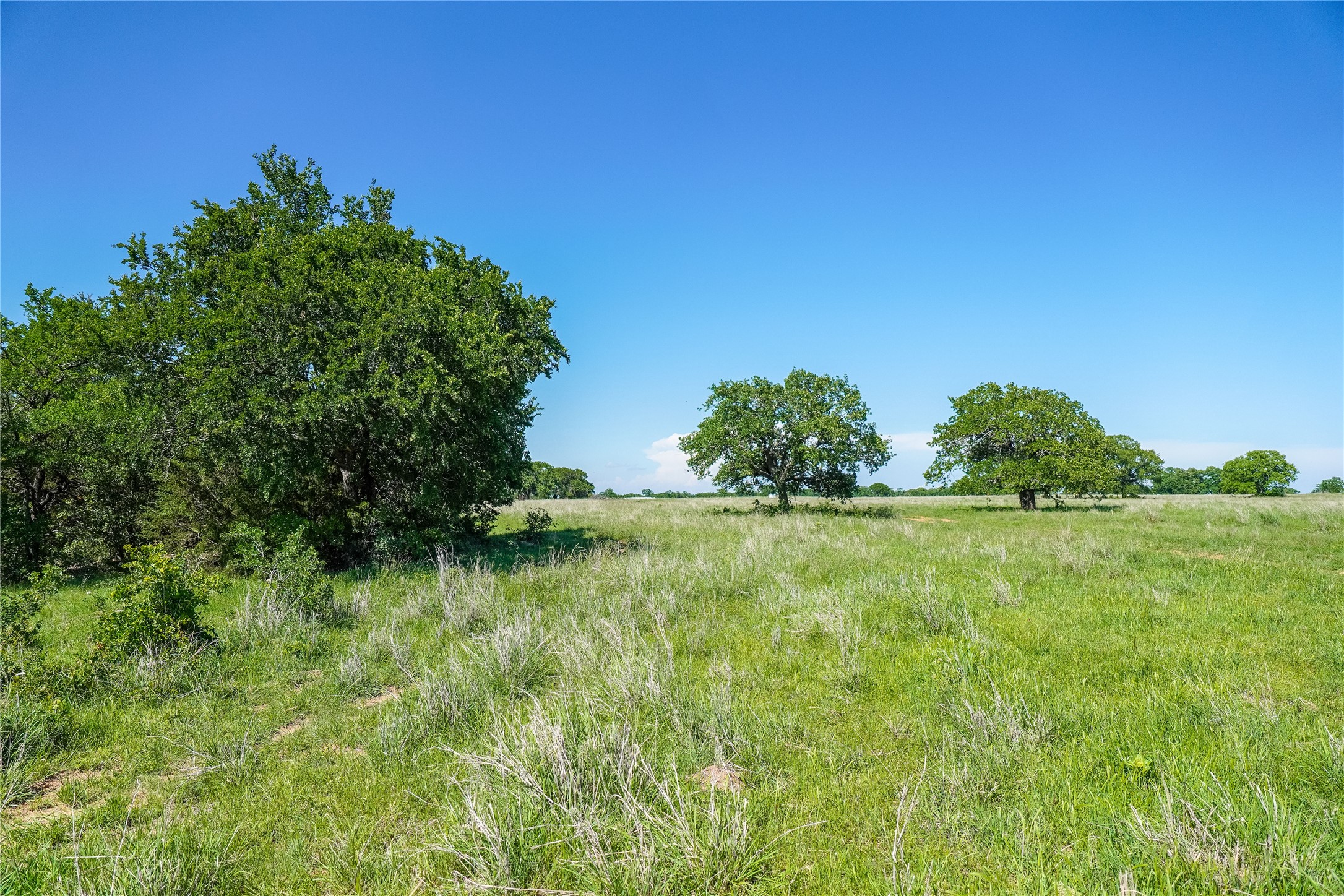 136 Acres Fm 2127 Bowie TX 76230
