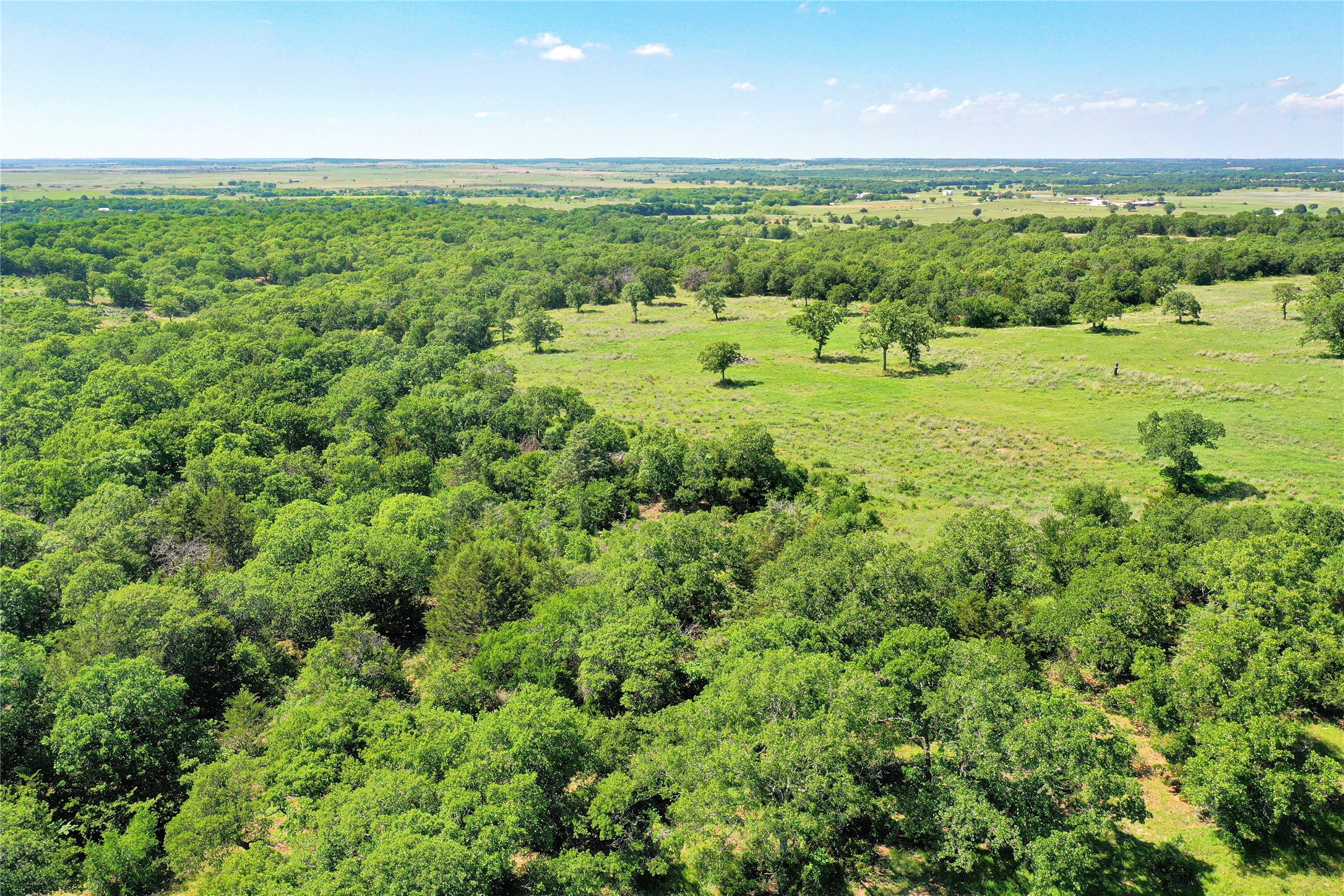 136 Acres Fm 2127 Bowie TX 76230