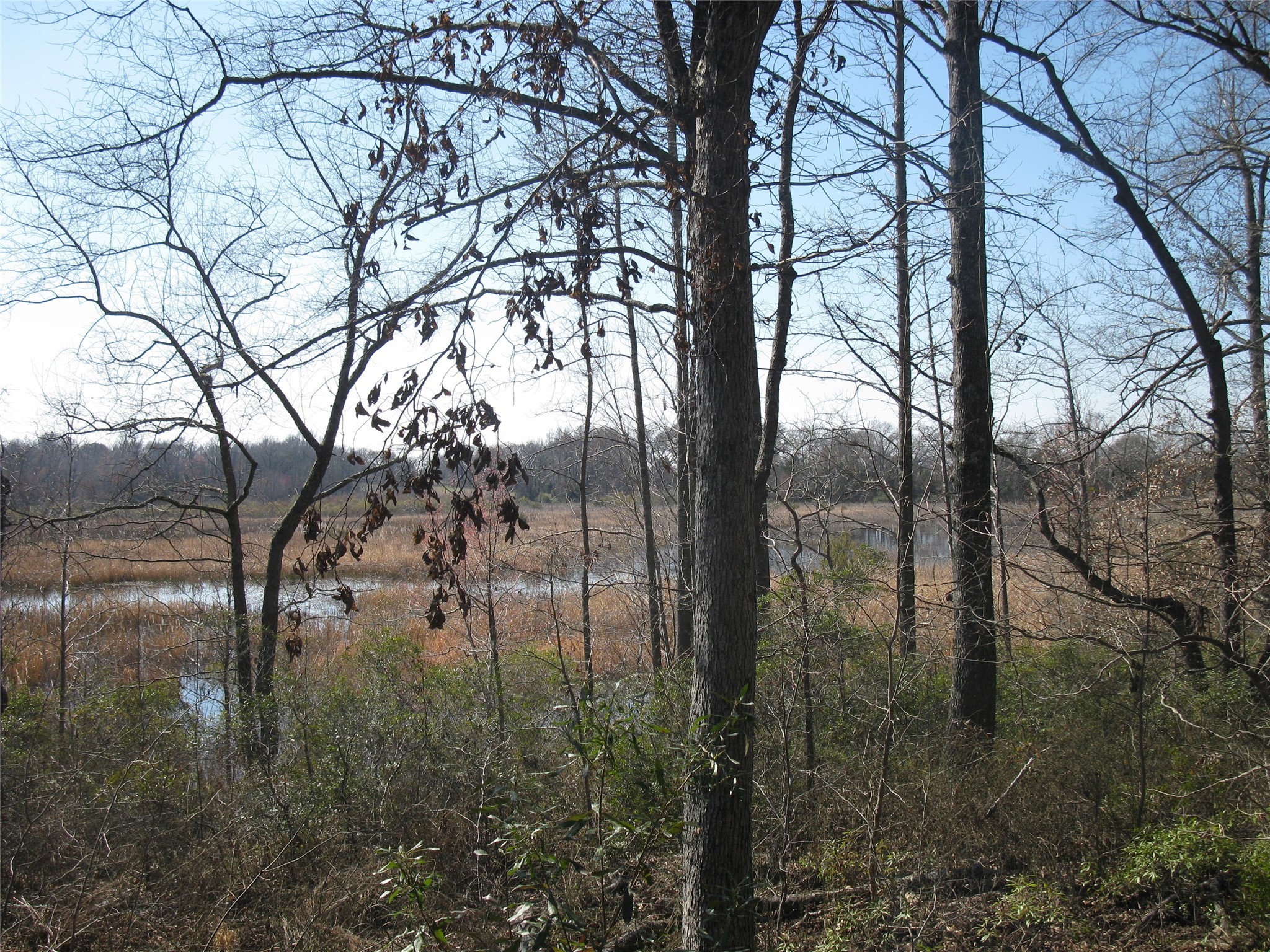 Tbd 133 Ac +- Vz County Road 4701 Ben Wheeler TX 75754